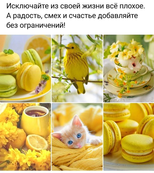 Самая вкусная еда - примитивна. Спелые томаты с пряным луком и морской солью, варёная молодая ...