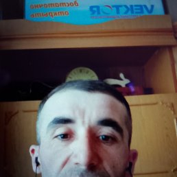 , 35 , 