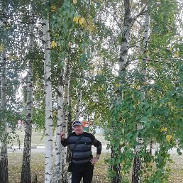 ��������, �����, 62 ����