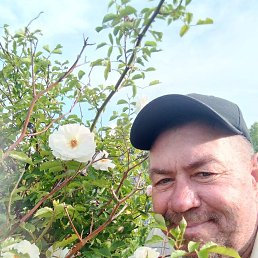 , 55, 