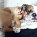 ���� �������, ������� - ��������� 22 ������ 2025 � ������ ������ ��������