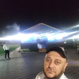, 41, 