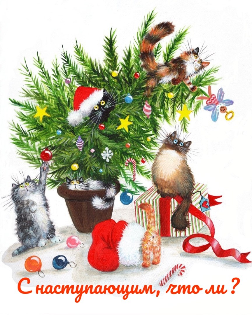 �������� - 31 ������� 2023 � 06:36