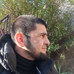 ������, 29 ���, ����