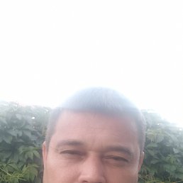 , 45, 