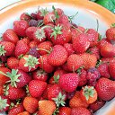 ���� ������, ��������, 58 ��� - ��������� 11 ������ 2026