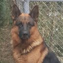  ********,  -  12  2025    