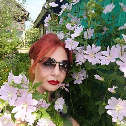 , 45, 