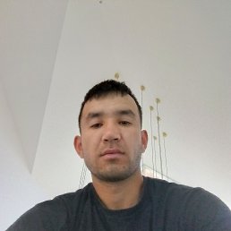 , 29, 