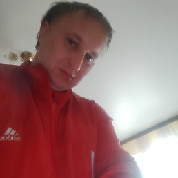 , 33, 