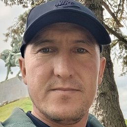 �����, ������, 38 ���