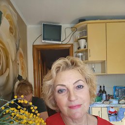 ���� ������, ��������, 61 ��� - ��������� 24 ������� 2026