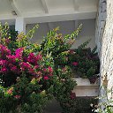  , -, 56  -  22  2025    