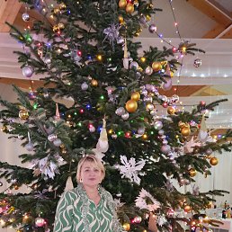 ���� �����, ��������, 55 ��� - ��������� 7 ������ 2024