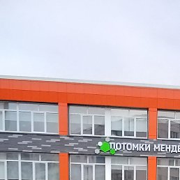 �������, ������, 67 ���