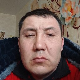 �����, ���������, 36 ���