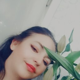 ���� �������, ������, 41 ��� - ��������� 27 ������� 2023