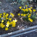 ���� ���������, ���������� - ��������� 14 ��� 2025 � ������ ���� ������