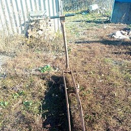 ��������, �����������, 36 ���