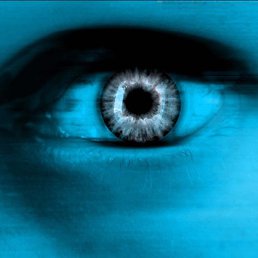 ��������, ������, 47 ���