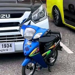 ���� Hamir, ������, 33 ���� - ��������� 27 ������� 2025