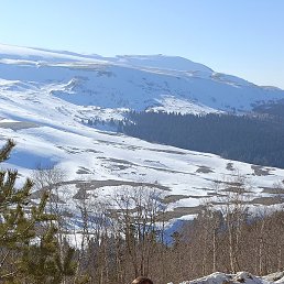 ������, �������, 43 ����