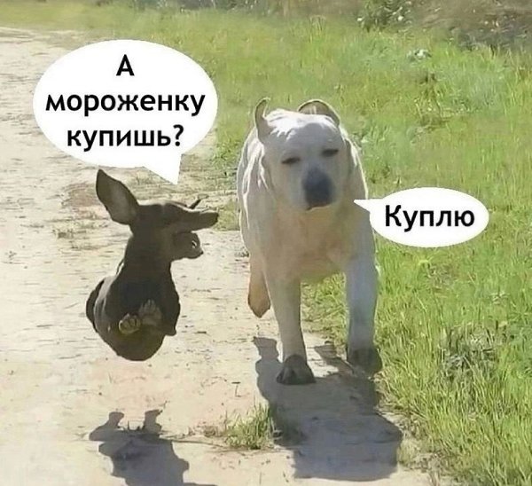     - 2