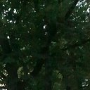 ���� ����, ������, 61 ��� - ��������� 1 ������ 2023 � ������ ���� ����������