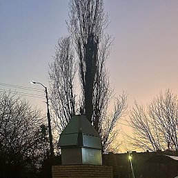 �����, �������, 29 ���