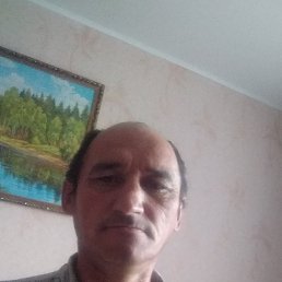 ����, ������, 49 ���