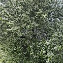  , -, 60  -  29  2025   