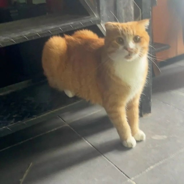 ����� - �����
