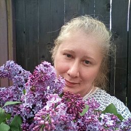 ����, 42 ����, �����-���������