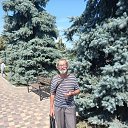 ���� ������, ������, 67 ��� - ��������� 29 ���� 2025