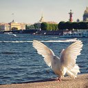 ���� �leksandr ******))))), ������� - ��������� 30 ������� 2025 � ������ ���� ����������