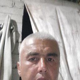 , 45, 
