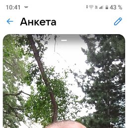 ���� ���� �������, ������������, 44 ���� - ��������� 2 ����� 2025