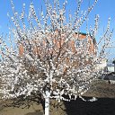 ���� ��������, ����, 73 ���� - ��������� 10 ������� 2024