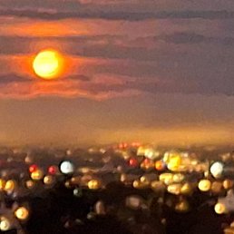  Kjetil, , 62  -  3  2025