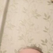 ����, 50 ���, �����