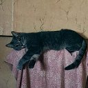 ���� ����, �������, 40 ��� - ��������� 22 ������ 2025 � ������ ������ ��������