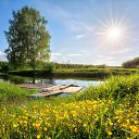���� �������, �����, 35 ��� - ��������� 24 ������� 2024 � ������ ������ ��������