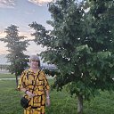 ���� �������, ���������, 68 ��� - ��������� 16 ������� 2025 � ������ ���� ����������
