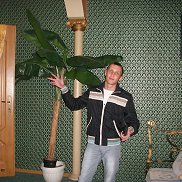 ���������, 33 ����, ������