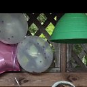  , -, 66  -  18  2025    