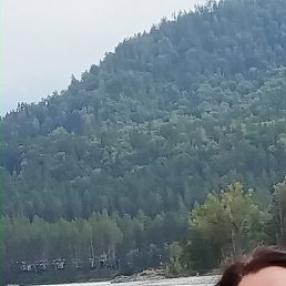 ����, ������, 51 ���