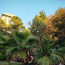 ���� ����, �����, 48 ��� - ��������� 30 ������ 2025 � ������ ���� ����������