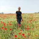 ���� ��������, �������, 60 ��� - ��������� 8 ���� 2025 � ������ ���� ����������