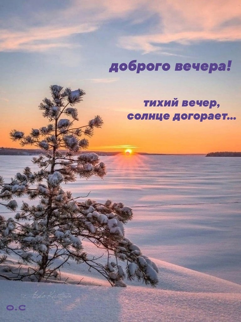   ,    . - 20  2024  17:04