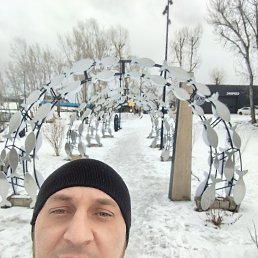 ��������, 43 ����, ����������